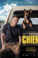 Affiche du film Chien