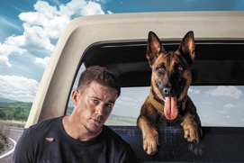 Affiche du film Chien