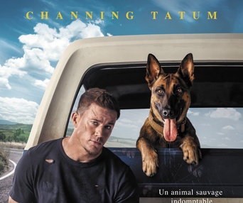 Affiche du film Chien