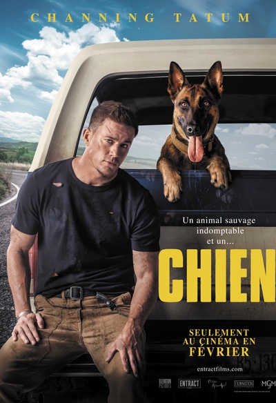 Affiche du film Chien