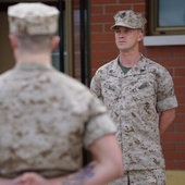 Une scène du film <em>Megan Leavey</em>