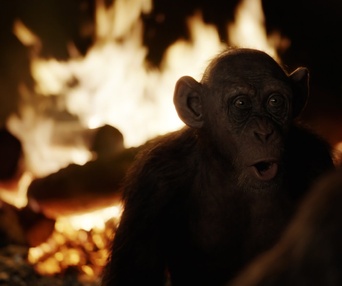 Une scène du film War for the Planet of the Apes