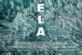 Affiche du film Aquarela