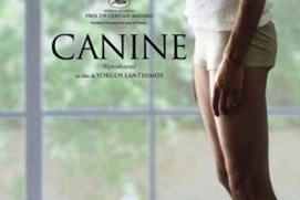 Affiche du film Canine Affiche du film Canine
