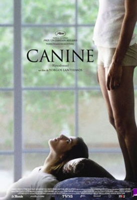 Canine