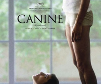 Affiche du film Canine