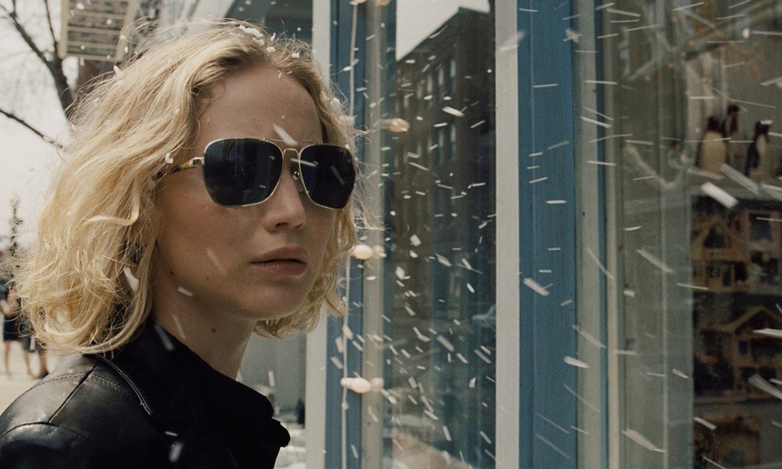 Sorties DVD : Joy