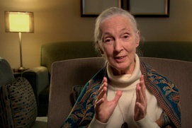 Une scène du film Surviving Progress
