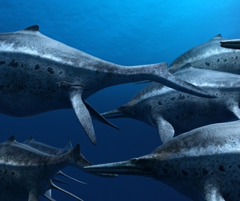 Une scène du film Sea Rex: Journey to a Prehistoric World 3D