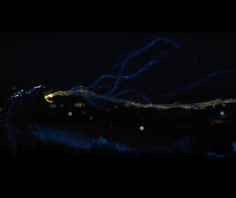 Image du film Xeno