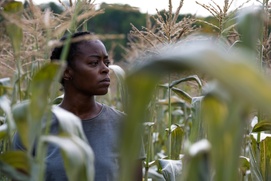 Images du film 40 Acres Images du film 40 Acres