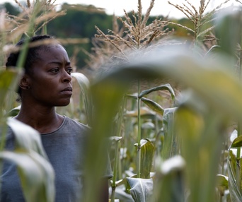 Images du film 40 Acres
