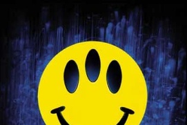 Affiche du film Evolution