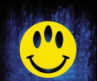 Affiche du film Evolution