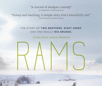 Affiche du film Rams