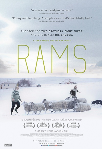 Affiche du film Rams