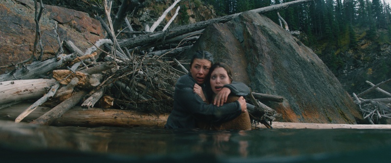 Une scène du film Dark Nature