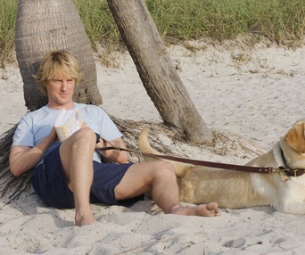 Scène du film Marley and Me