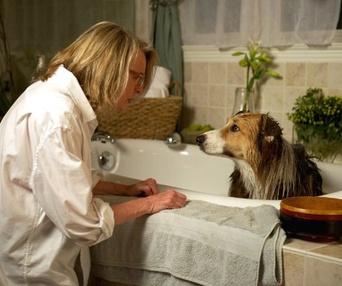 Une scène du film Darling Companion
