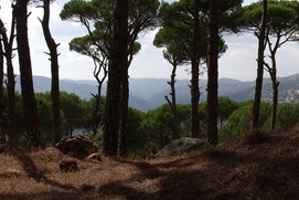Une scène du film La vallée des larmes