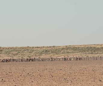 Une scène du film The Good Lie