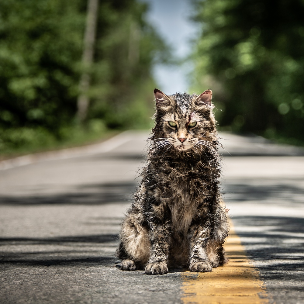 Une scène du film Pet Sematary