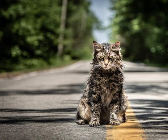 Une scène du film Pet Sematary