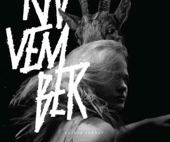 Affiche du film November