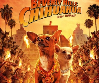 Affiche du film Beverly Hills Chihuahua
