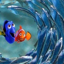 Une scène du film Finding Nemo