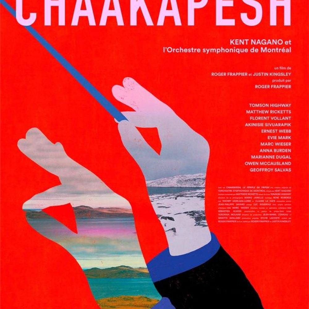 Affiche du film Chaakapesh