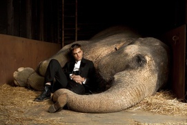 Une scène du film Water for Elephants Une scène du film Water for Elephants