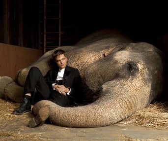 Une scène du film Water for Elephants