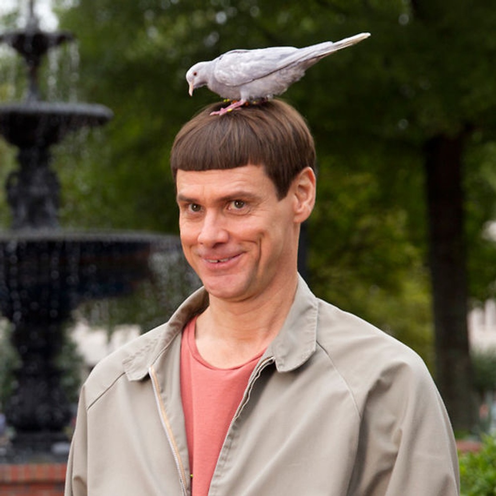 Une scène du film Dumb and Dumber To