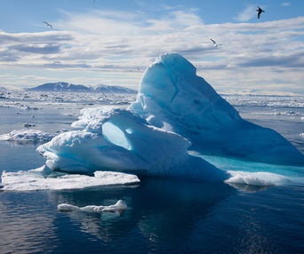 Une scène du film To the Arctic 3D