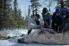 Image du film Matimekush