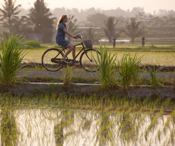 Une scène du film Eat, Pray, Love