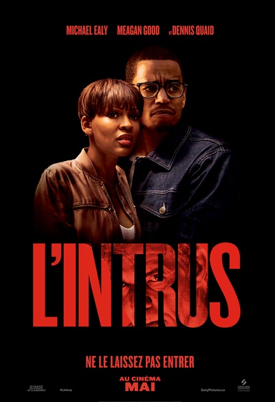 Affiche du film The Intruder