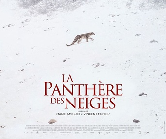 Affiche du film La panthère des neiges