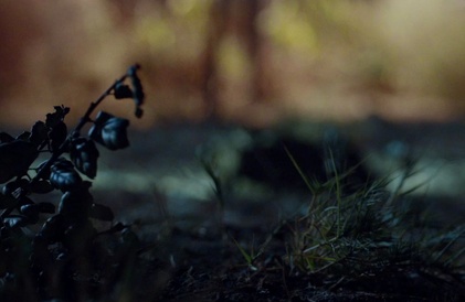Bande-annonce en anglais