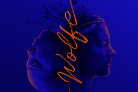 Affiche du film Wolfe