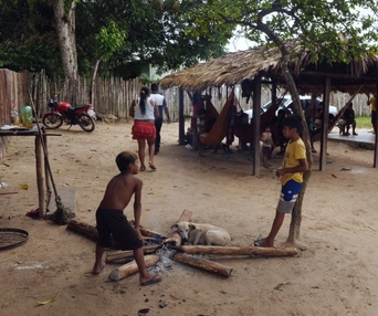 Une scène du film Amazonie, à la rencontre des gardiens et des gardiennes de la forêt