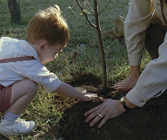 Une scène du film The Tree of Life