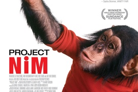 Affiche du film Projet Nim