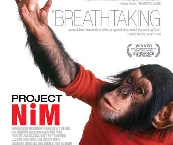 Affiche du film Projet Nim