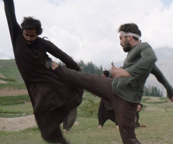Image du film The Martial Artist