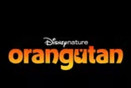 Image du film Orangutan
