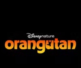 Image du film Orangutan