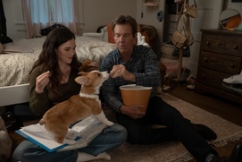 Image du film A Dog's Perfect Christmas
