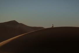 Image du film Les Chrysalides